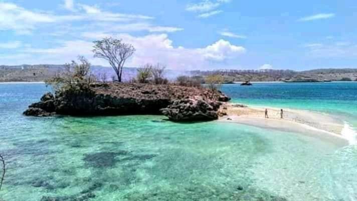 Jaya Homestay Tetebatu Εξωτερικό φωτογραφία