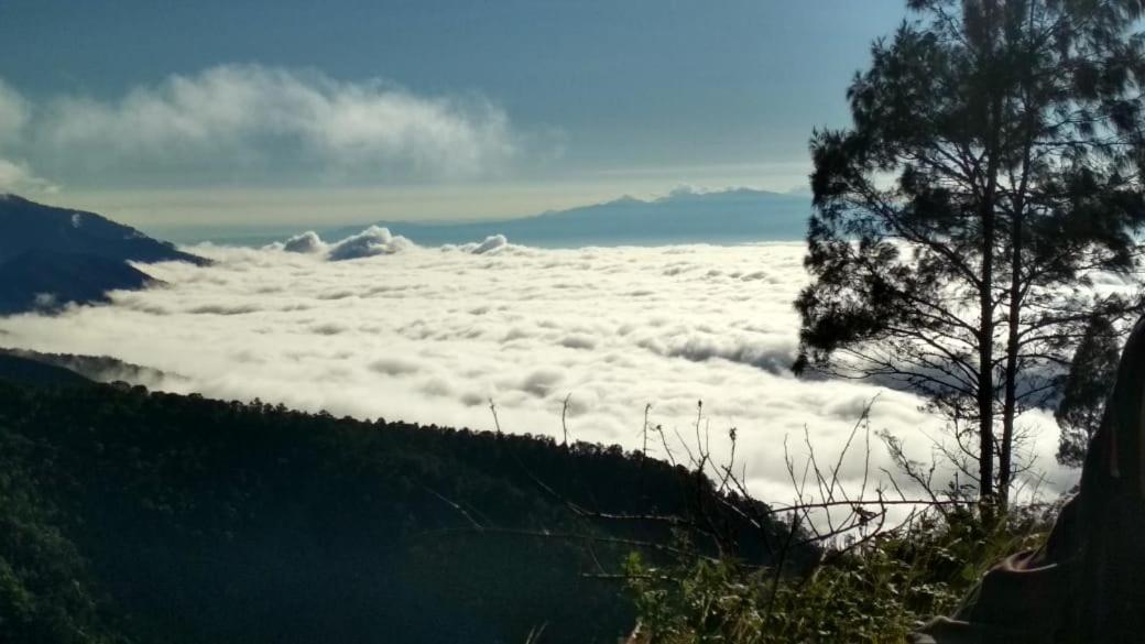 Jaya Homestay Tetebatu Εξωτερικό φωτογραφία